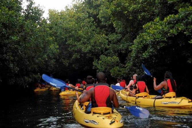 Two-In-One Day Trip: El Yunque and Bio Bay Tour With Transport - Highlights and Inclusions