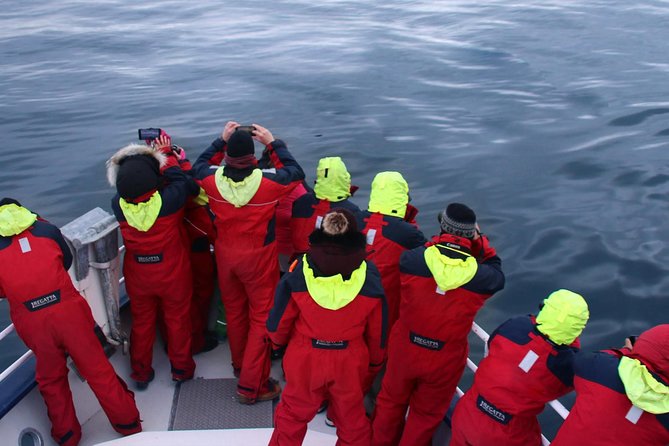 Two-In-One: Whale & Puffin Watching Tours From Reykjavik - Recommendations and Tips