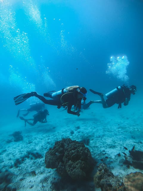 Two Introduction Dives for Beginners at Koh Kood or Koh Rang - PADI Instructor Guidance