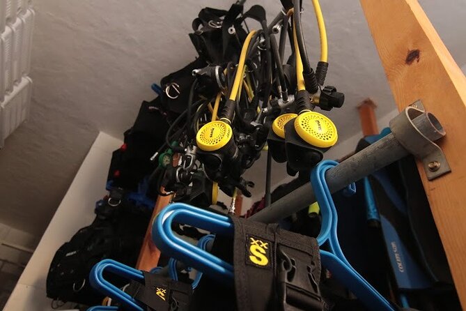 Two Morning Dives in Gozo for Certified Diver - Exploring Gozos Crystal-Clear Waters