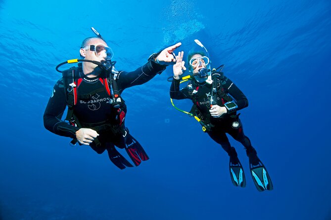 Two Morning Dives in Gozo for Certified Diver - Meeting Point and Pickup Details