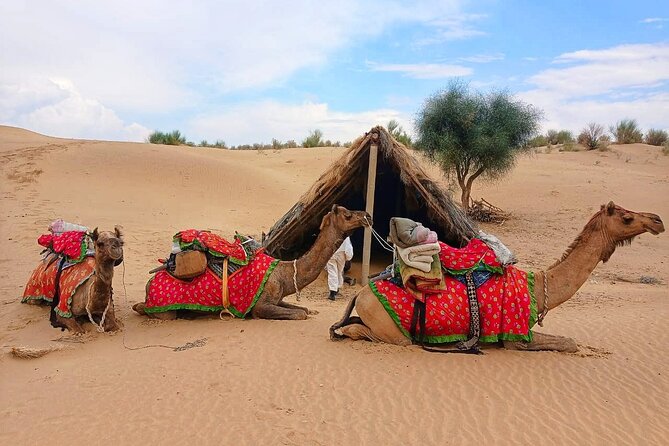 Two-Night Camel Safari and Desert Camping - Meeting and Pickup