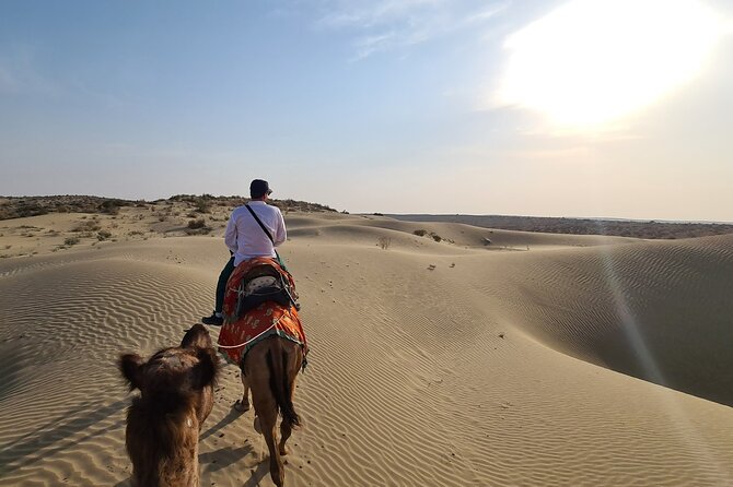 Two-Night Camel Safari and Desert Camping - Accessibility and Transportation