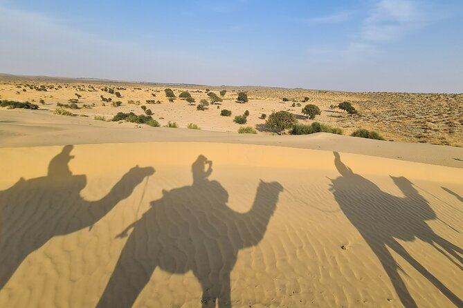 Two-Night Camel Safari and Desert Camping - Highlights and Activities