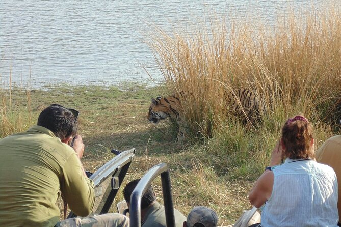 Two Night Safari Experience Ranthambore National Park &Transfers - Logistical Planning and Preparation