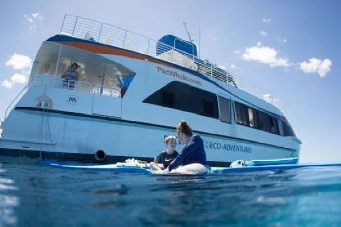 Two Stop Snorkel Adventure From Maui - Breakfast Offerings