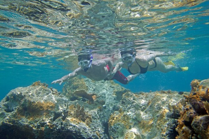 Two Stop Snorkel and Shipwreck From Dockyard - Exploring the Dockyard