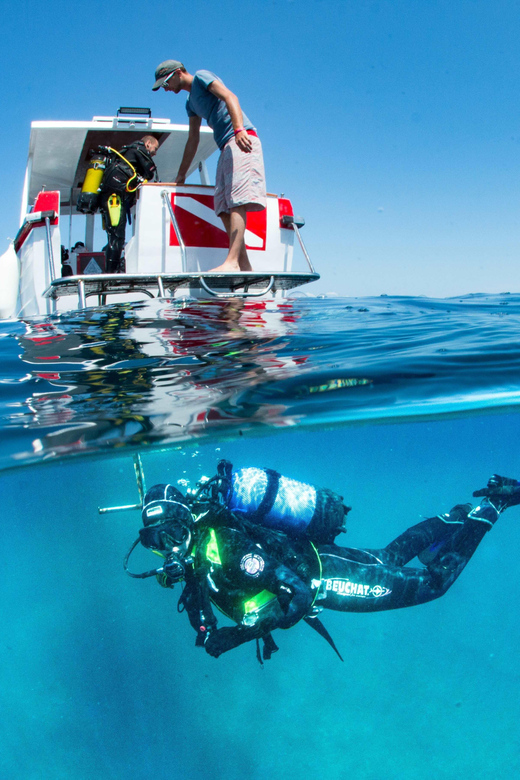 Two-Tank Boat Dive - SCUBA Diving Trip for Certified Divers - Pricing and Booking