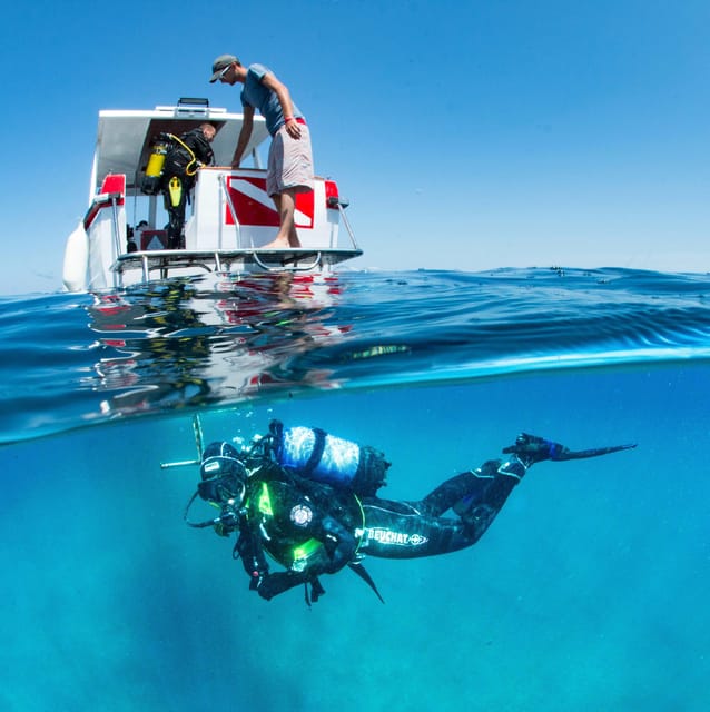 Two-Tank Boat Dive - SCUBA Diving Trip for Certified Divers - Group and Accessibility