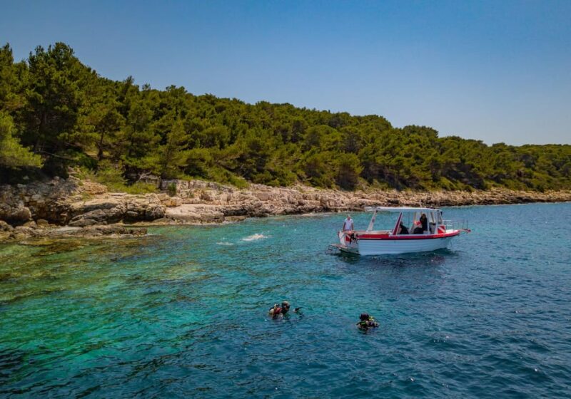 Two-Tank Boat Dive - SCUBA Diving Trip for Certified Divers - Dive Experience and Environment