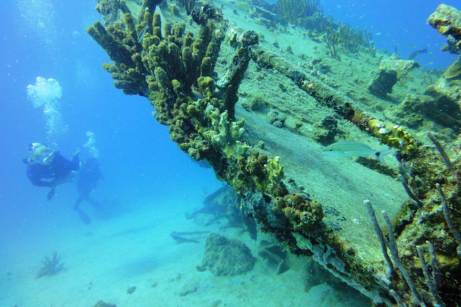 Two-Tank Dive for Certified Diving in St Thomas - Positive Traveler Feedback
