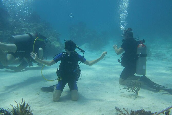 Two Tank Dive in Montego Bay W/Certified Divers - Meeting and End Point