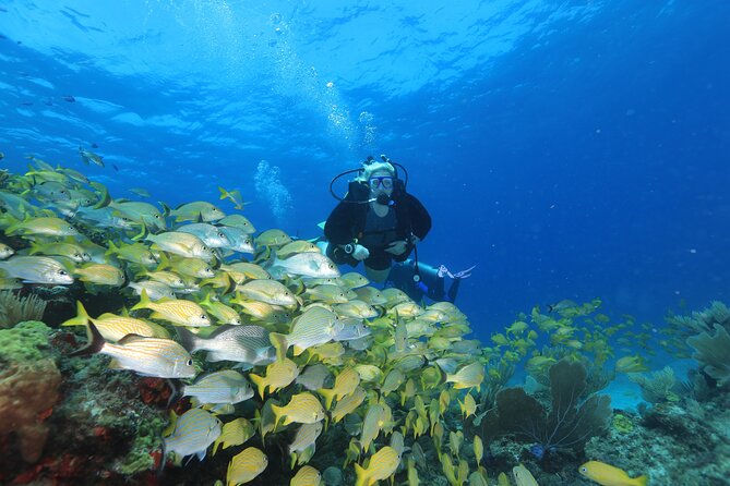 Two Tanks Scuba Diving for Beginners in Cancun - Suited for Beginners