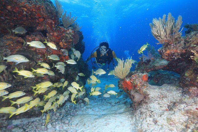 Two Tanks Scuba Diving for Beginners in Cancun - Hands-on Diving Lessons