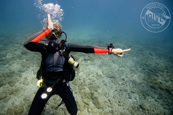 Two Tanks Scuba Diving Tour at Catalina Islands & North Island - CR - Meeting & Pickup