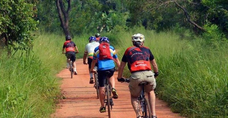 Two-Wheeled Toddy Hunting Adventure in Bentota. - Restrictions and Recommendations