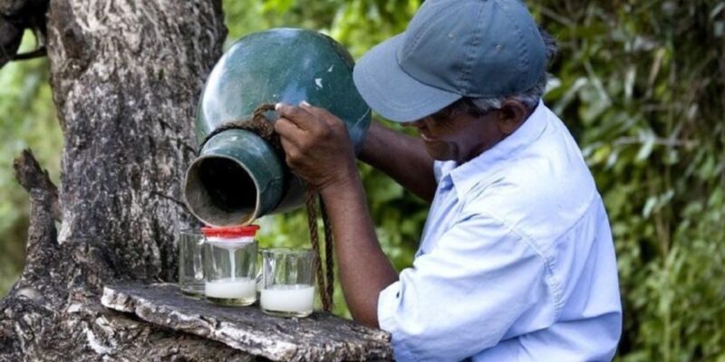 Two-Wheeled Toddy Hunting Adventure in Bentota. - Frequently Asked Questions