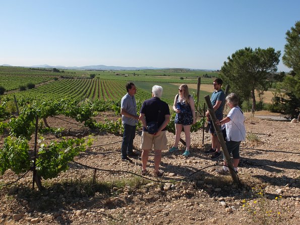 Two Wineries Tour With Wine Tasting - Winemaking Process Insights