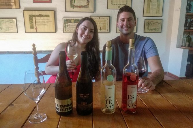 Two Wineries Tour With Wine Tasting - Personalized Experience