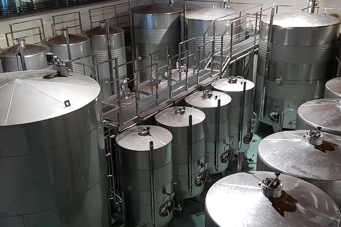Txakoli Winery Tour Through the Coast From San Sebastian - Exploring Getarias Vineyards
