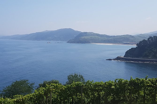 Txakoli Winery Tour Through the Coast From San Sebastian - Tasting Txakoli Wine
