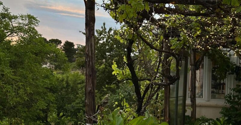 Typical Apulian Dinner in the Garden of an Ancient Trullo - Key Points