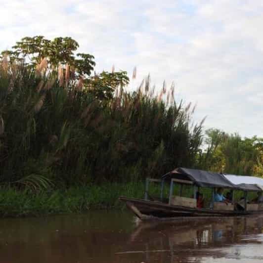 Typical Iquitos 3 Days/ 2 Nights Jungle - Cultural and Wildlife Experiences
