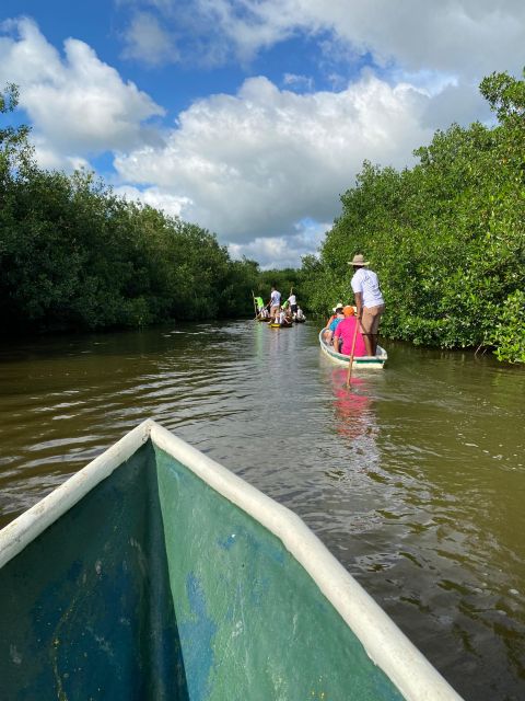 Typical Lunch on Beach, Mangrove Tour & Fishing With Natives - Typical Lunch and Beach Relaxation
