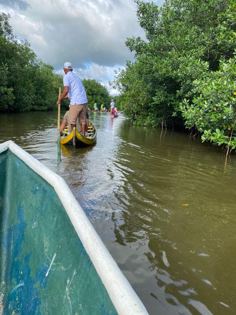 Typical Lunch on Beach, Mangrove Tour & Fishing With Natives - Experience Highlights