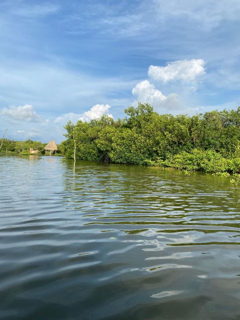 Typical Lunch on Beach, Mangrove Tour & Fishing With Natives - Customer Reviews and Ratings