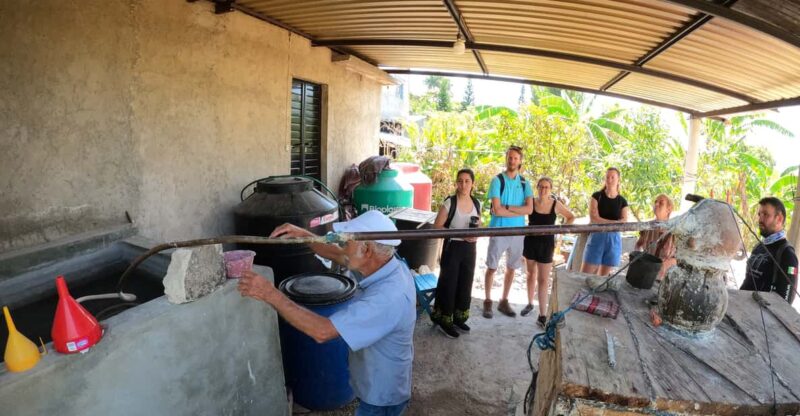 Tzimol, Chiapas: Town Tour, Sugarcane Factory, Magic Forest - Pricing and Languages