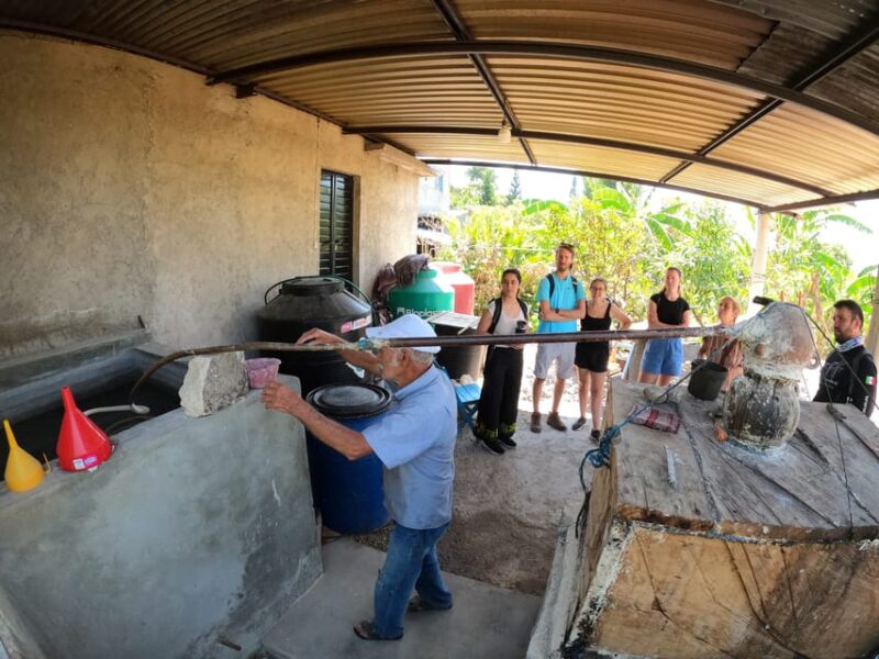 Tzimol, Chiapas: Town Tour, Sugarcane Factory, Magic Forest - Tour Highlights