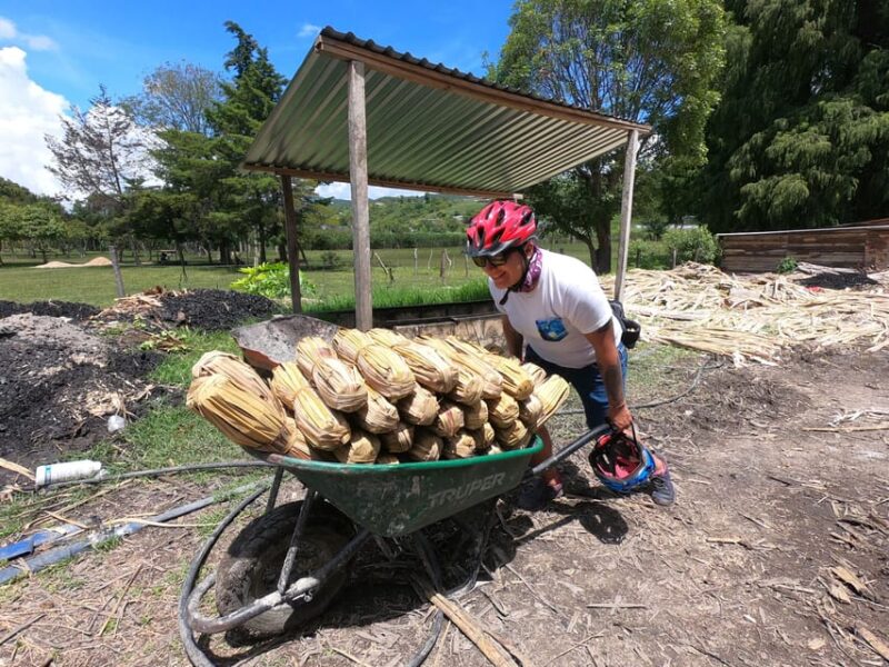 Tzimol, Chiapas: Town Tour, Sugarcane Factory, Magic Forest - Detailed Itinerary