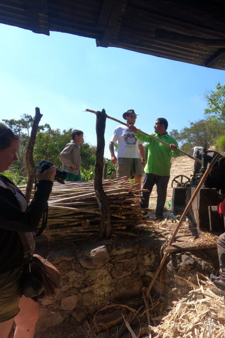 Tzimol, Chiapas: Town Tour, Sugarcane Factory, Magic Forest - Booking Information