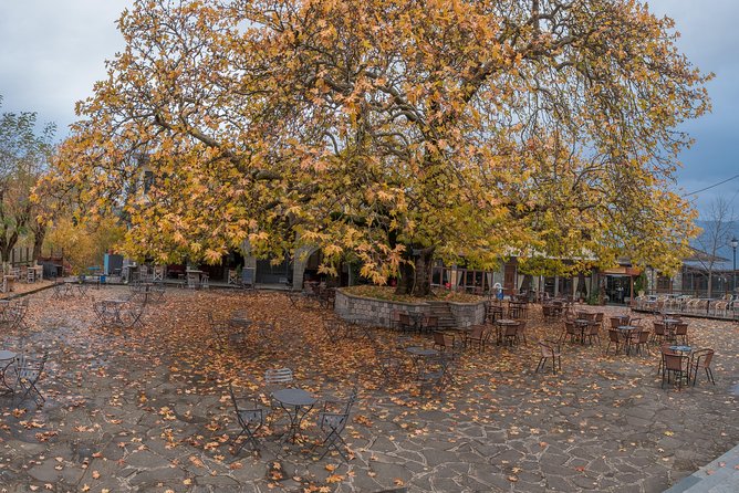 Tzoumerka Villages Tour (1 Day) - Experience Highlights