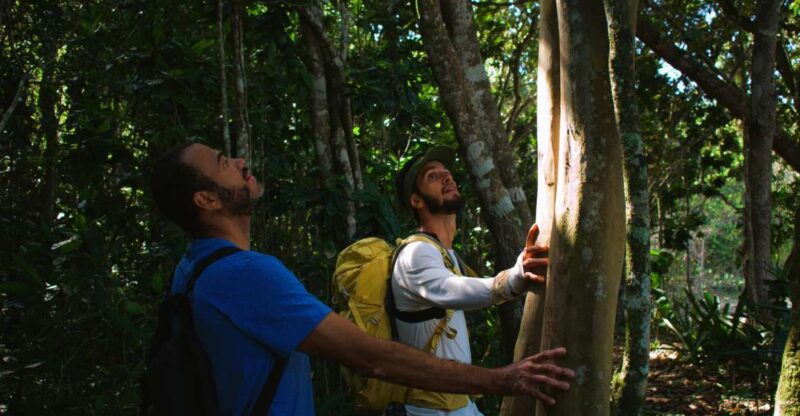 Ubatuba - 7 Beaches Trail - Highlights of the Experience