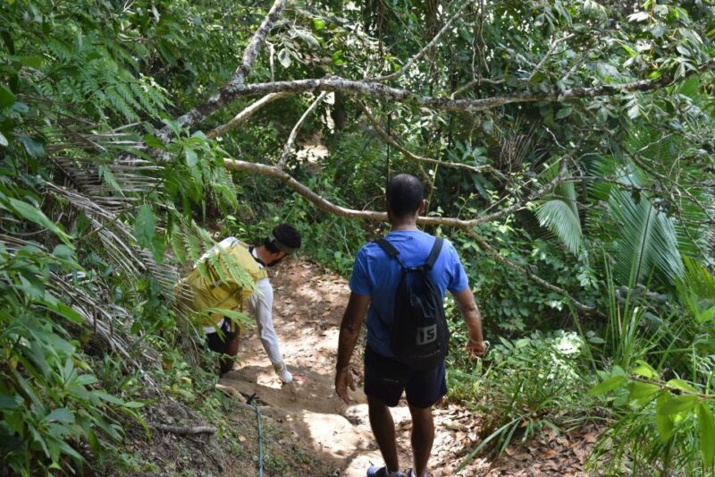 Ubatuba - 7 Beaches Trail - Accessibility and Recommendations