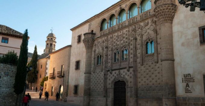 Ubeda and Baeza Private Tour - Surrounding Olive Groves