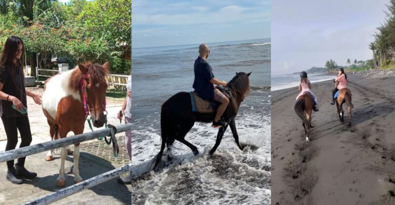 Ubud: 1 Hour Beach Horse Riding With Transfer - Itinerary and Experience