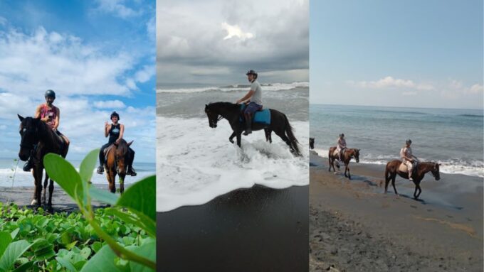 Ubud: 1 Hour Beach Horse Riding With Transfer - Safety Measures