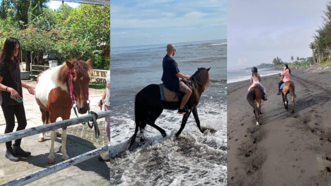 Ubud: 1 Hour Beach Horse Riding With Transfer - Transportation and Pick-Up