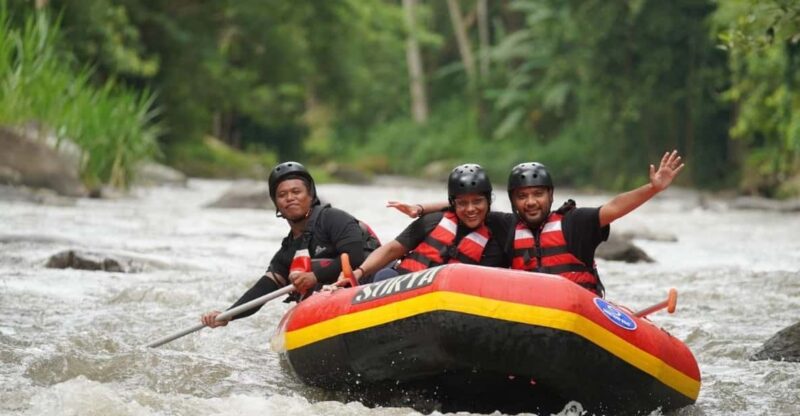 Ubud: 2,5 Hours of Ayung Rafting Adventure With Lunch - Key Points