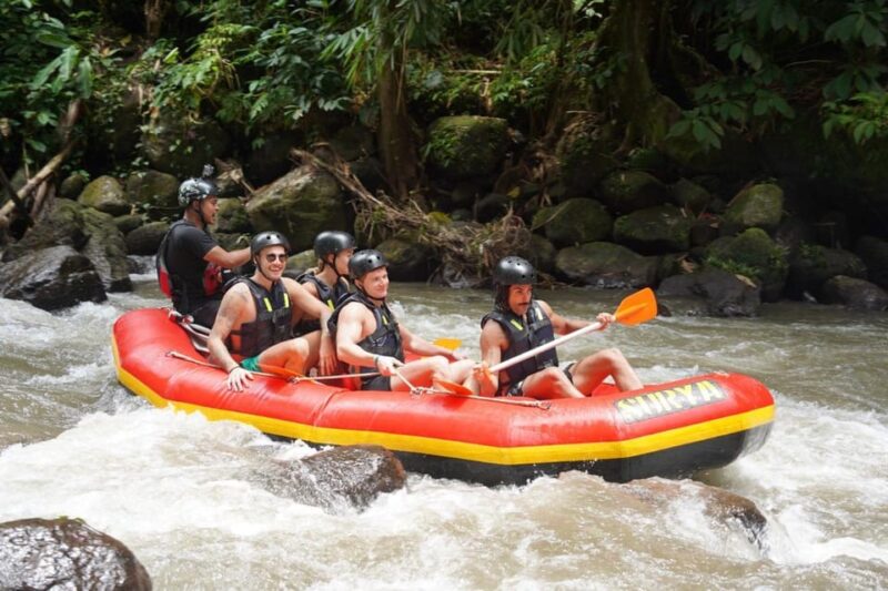 Ubud: 2,5 Hours of Ayung Rafting Adventure With Lunch - Scenic Beauty