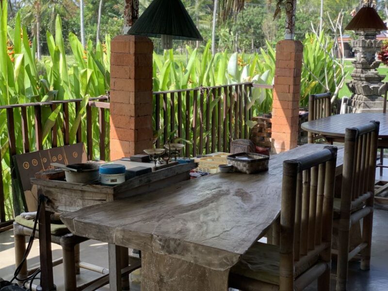 Ubud: 3-Hour Traditional Balinese Painting Class - Instructors Expertise and Guidance
