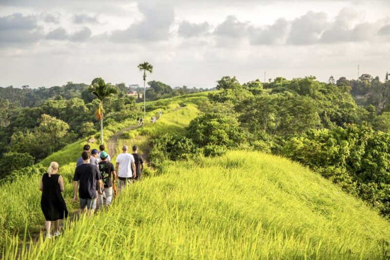 Ubud: 3-Hour Walking Tour With Lunch - Highlights of the Experience