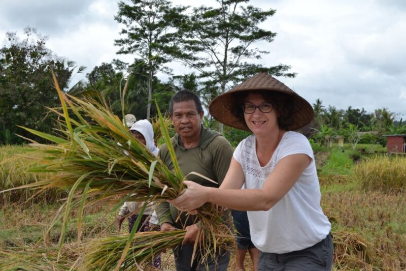 Ubud: 3-Hour Walking Tour With Lunch - Pickup Locations and Times