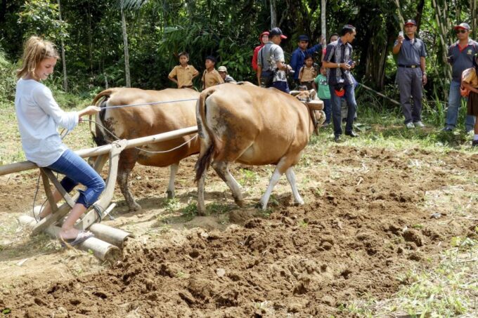 Ubud: 3-Hour Walking Tour With Lunch - Additional Transportation Options
