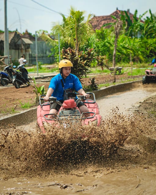 Ubud Activity With Shuttle: ATV Ride Through Ubud Ricefield - Key Points