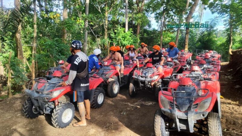Ubud Activity With Shuttle: ATV Ride Through Ubud Ricefield - Itinerary and Experience