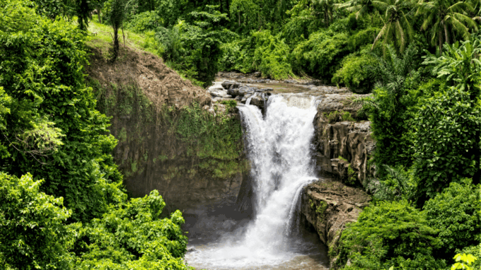 Ubud Adventure: ATV Thrills, Monkey Encounters, & Waterfall - Inclusions and Feedback